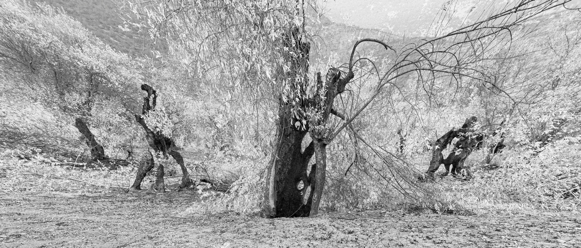 Θάνος Τσάκαλος: Ήθελα να δώσω φωνή στη σιωπή
