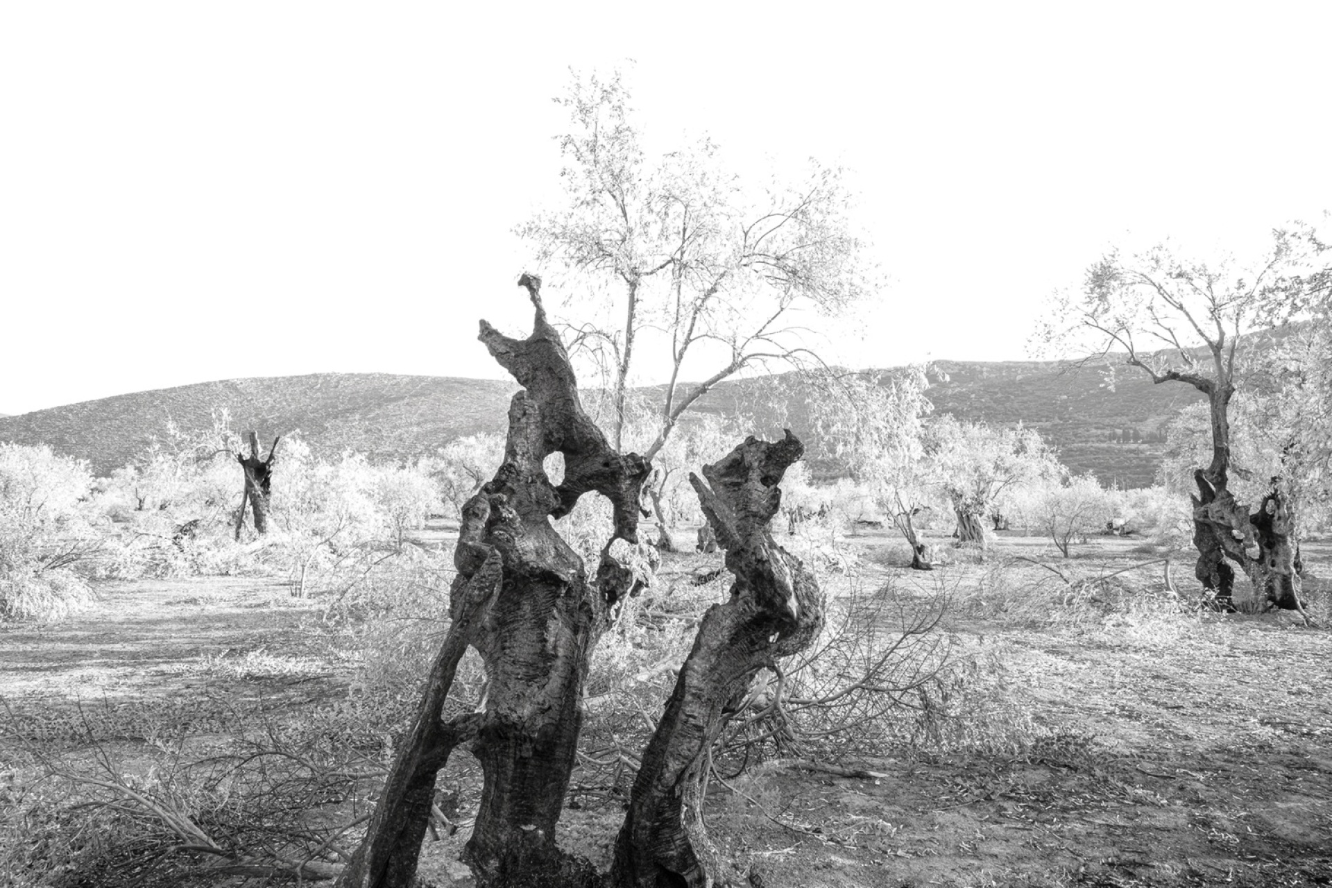 Θάνος Τσάκαλος: Ήθελα να δώσω φωνή στη σιωπή