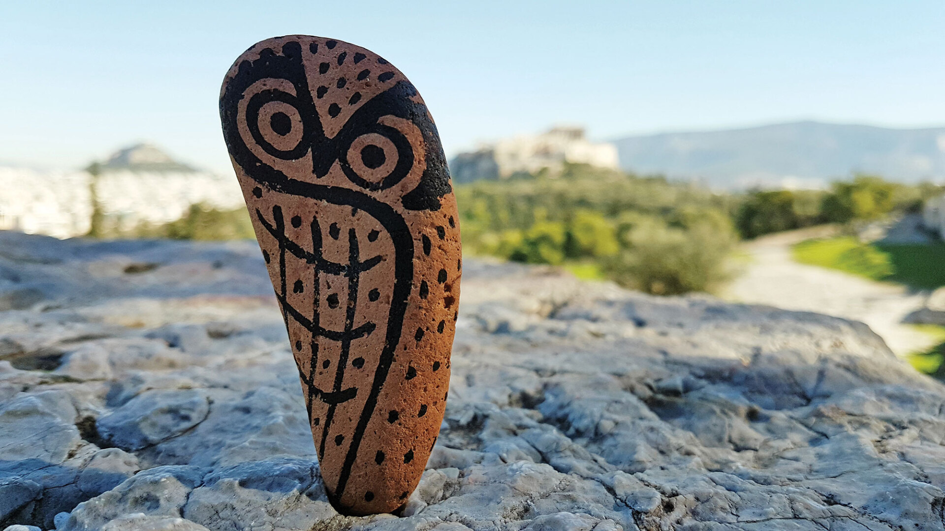 Οι κουκουβάγιες του Δημήτρη Κάσδαγλη