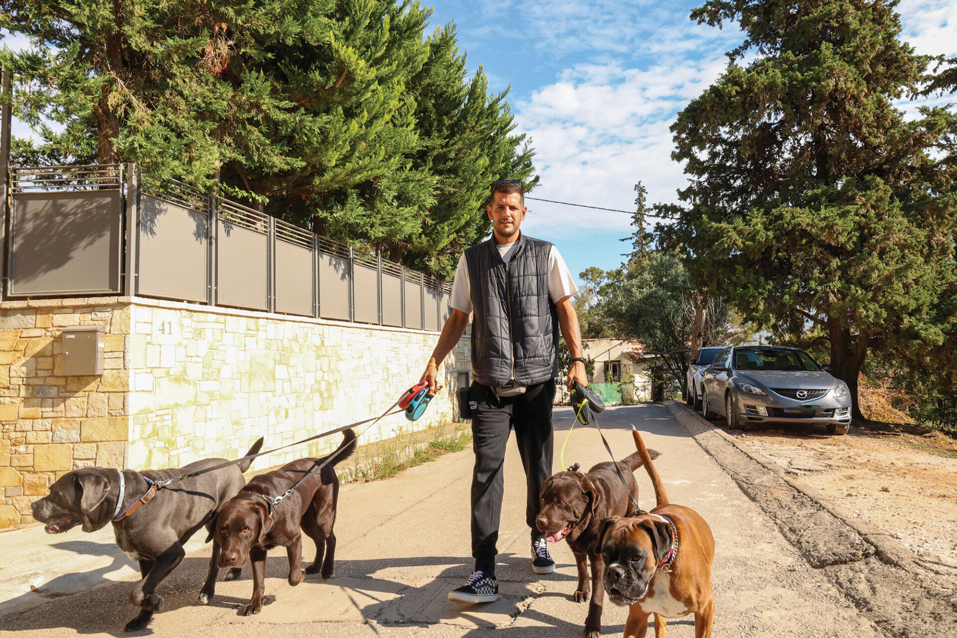 Pet Sitters