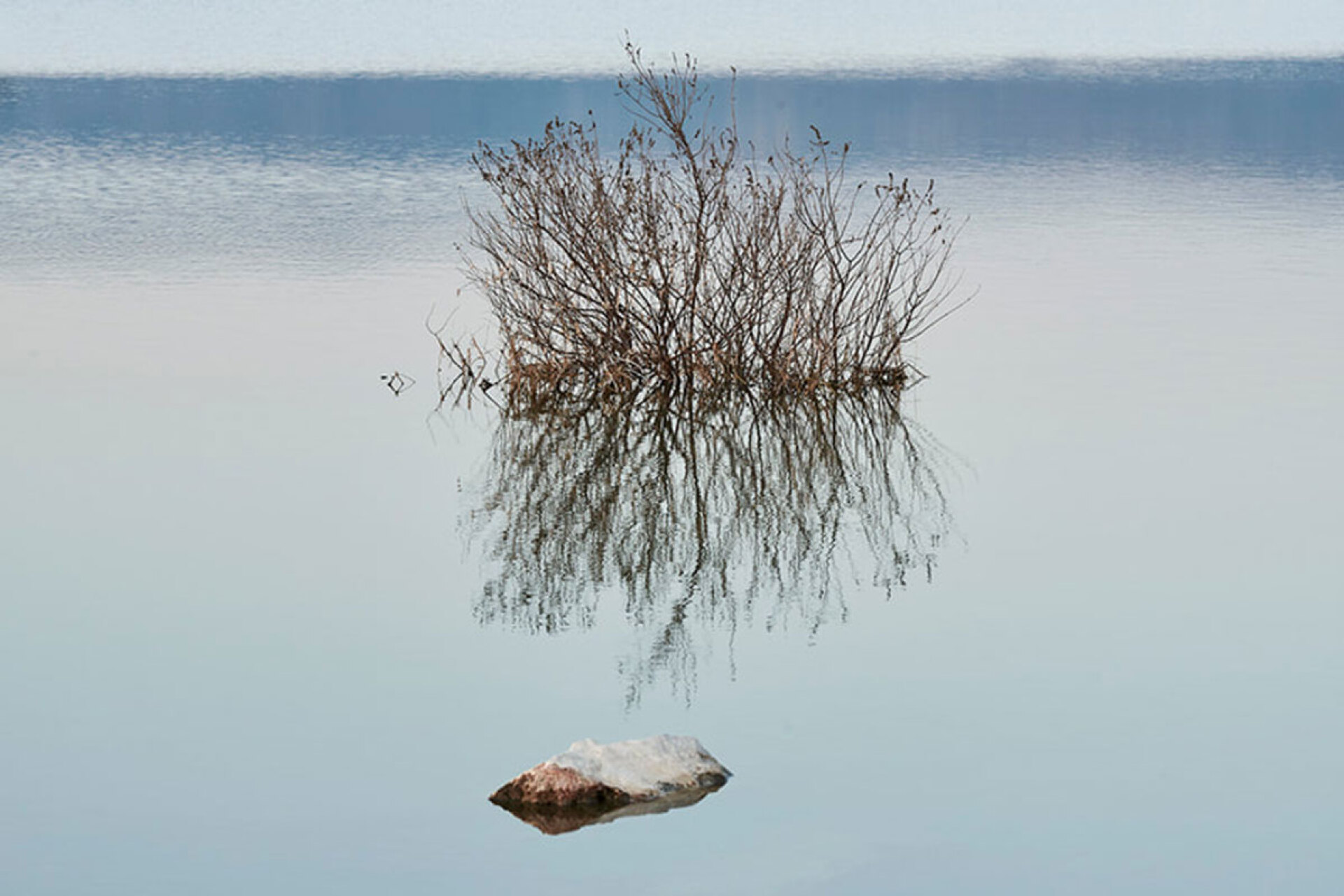 © Βικτώρια Σκαφιδά