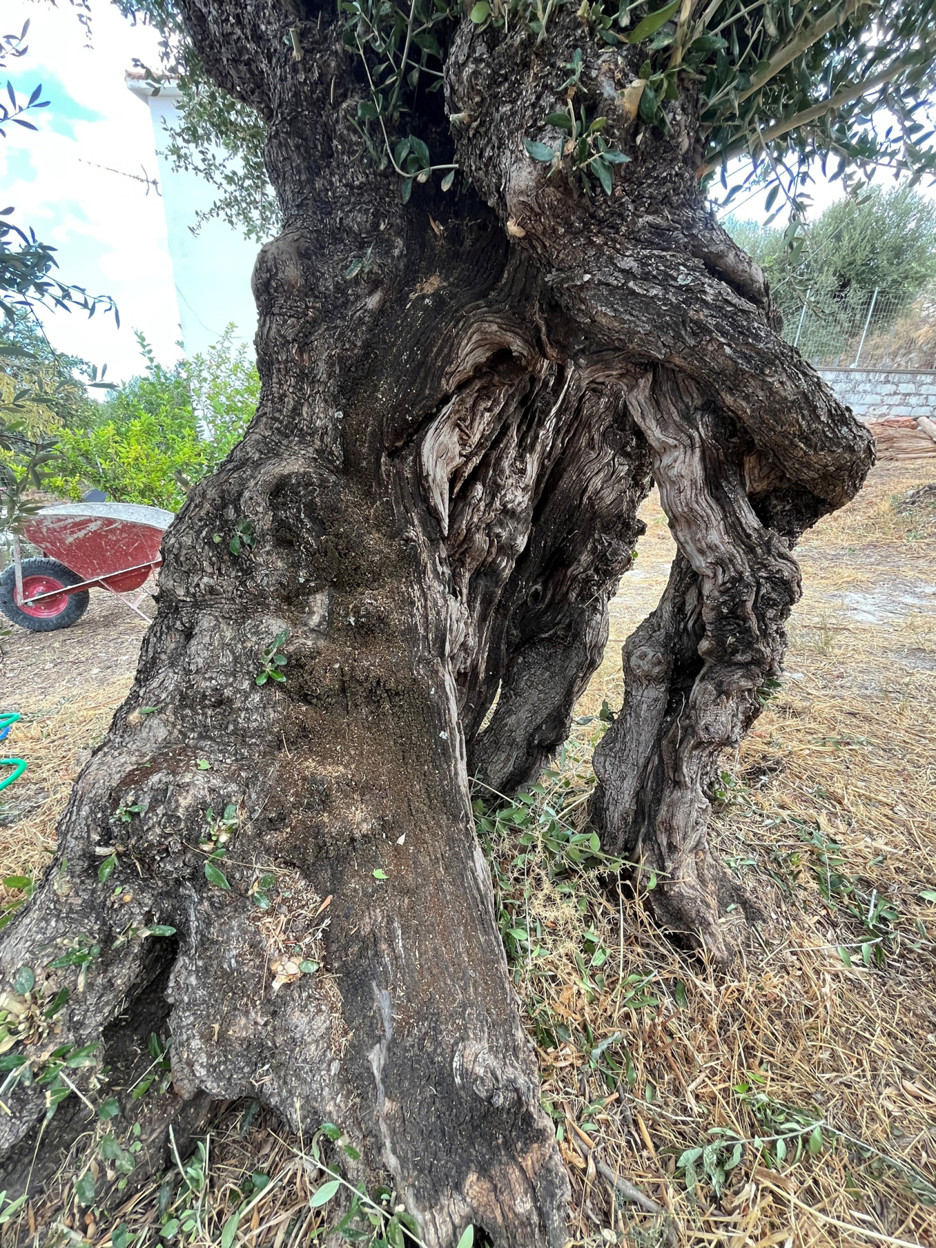 Κρήτη