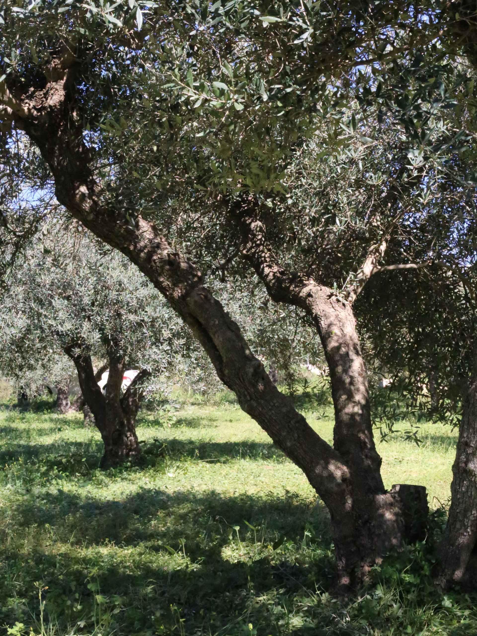 Κρήτη