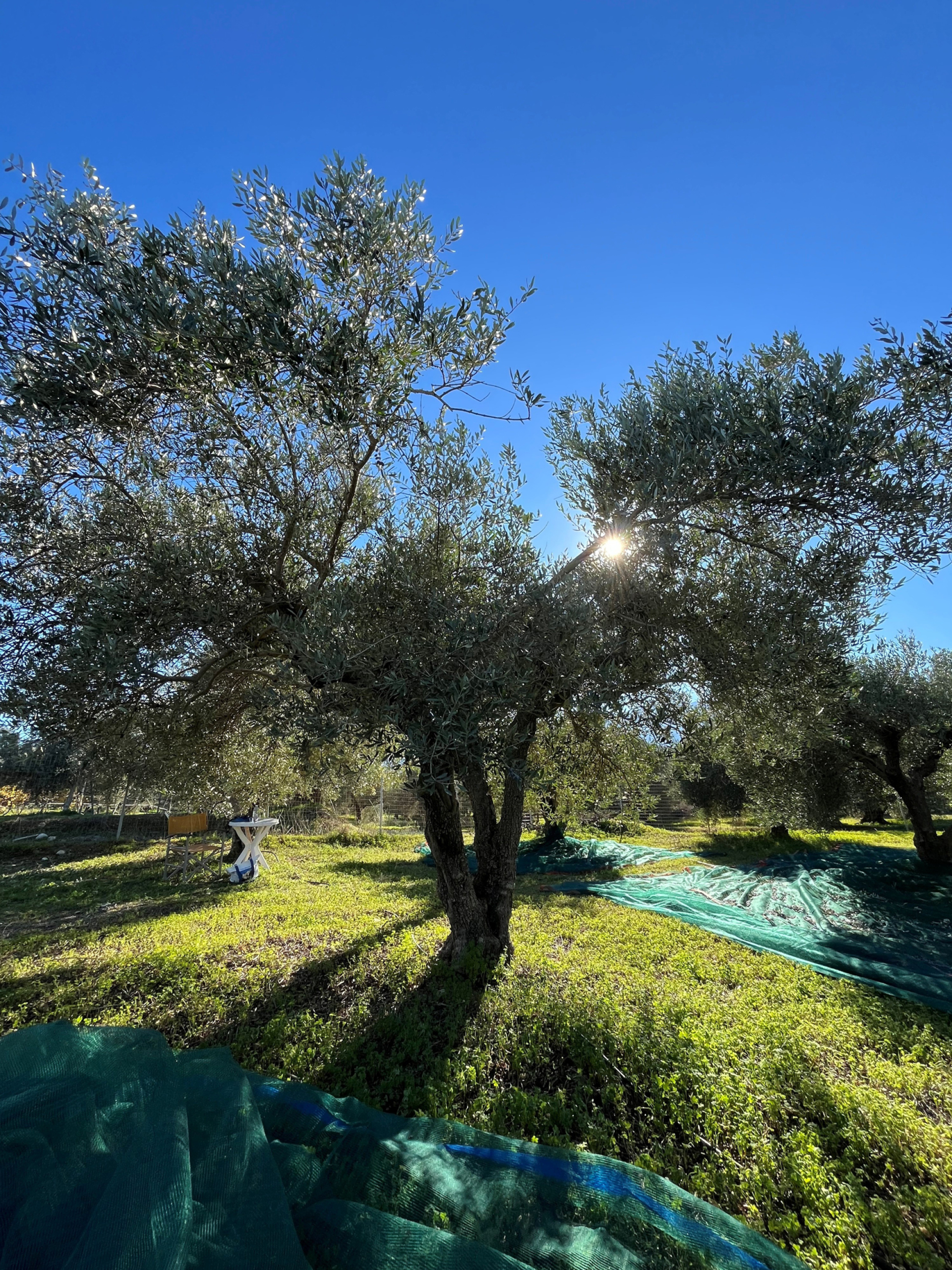 Κρήτη