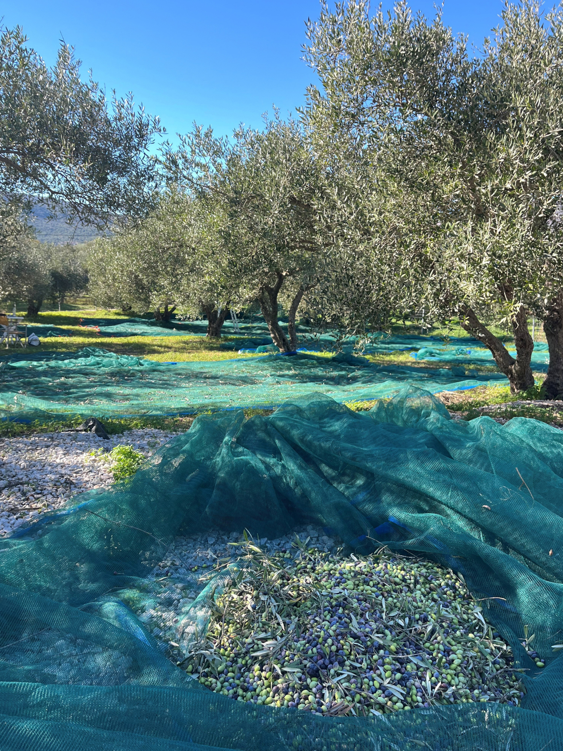 Κρήτη