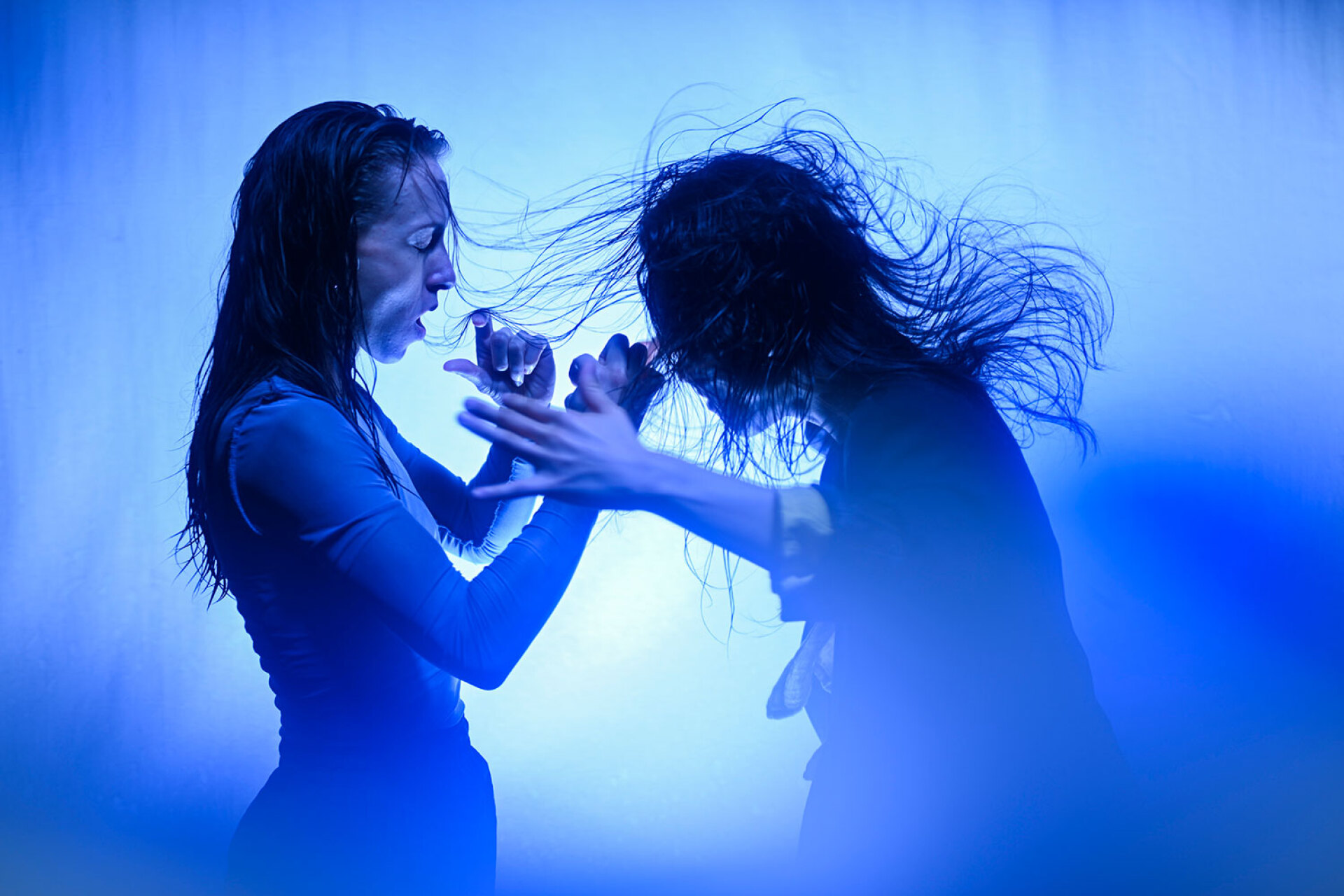 Rosana Ribeiro/ Selva, Tidal Wave © Bernhard Mueller