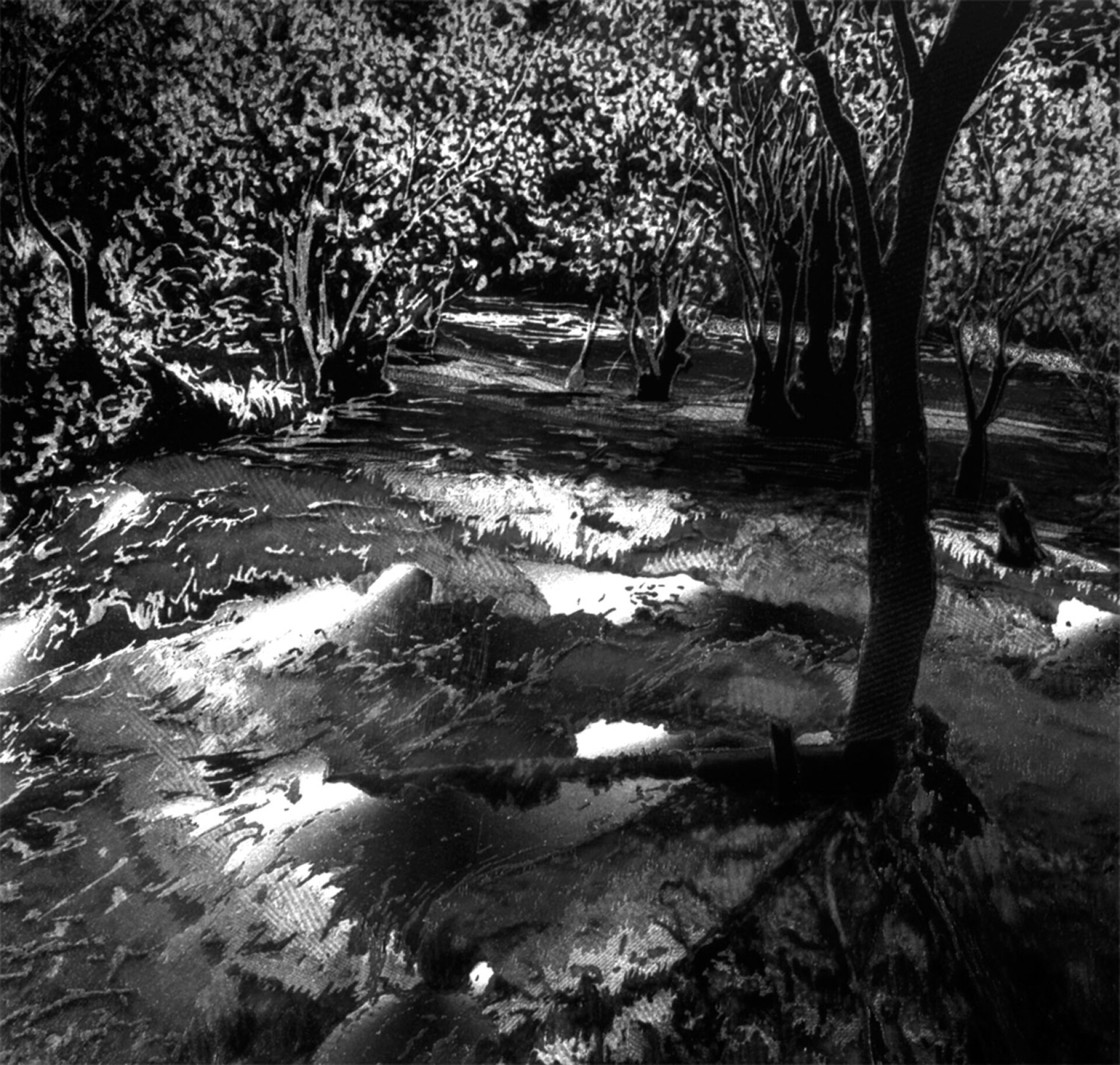 Λένα Αθανασοπούλου, Extended Memory, 2006, ασπρόμαυρη φωτογραφία, εκτύπωση σε αρχειακό χαρτί