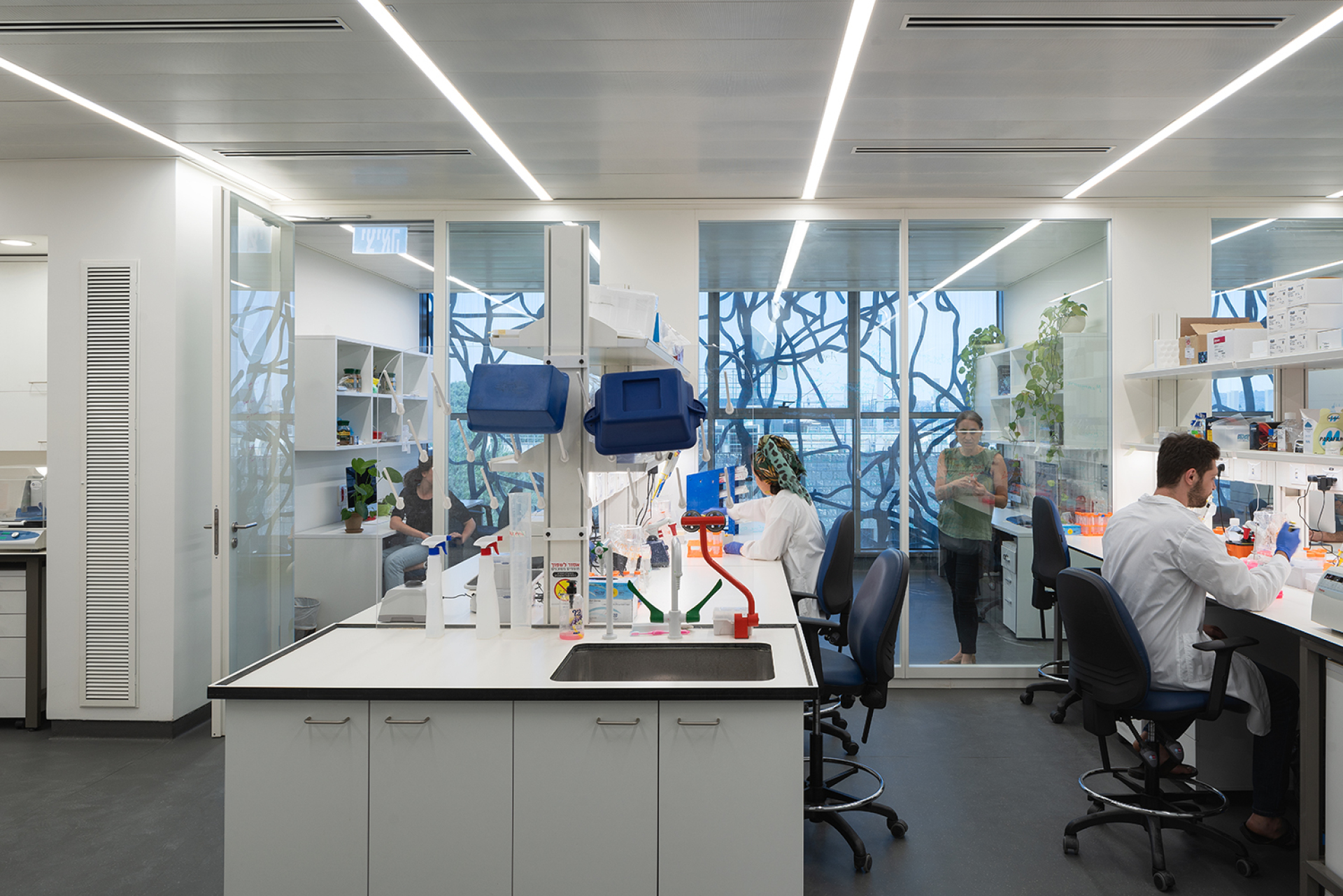 Edmond & Lily Safra Centre for Brain Sciences © Studio Harel Gilboa
