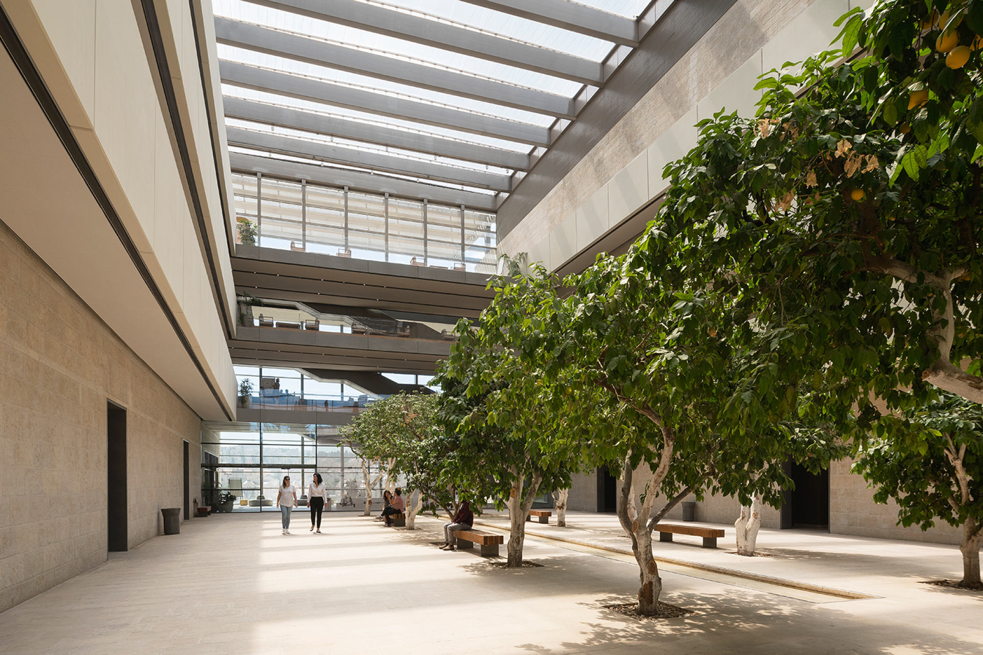 Edmond & Lily Safra Centre for Brain Sciences © Studio Harel Gilboa