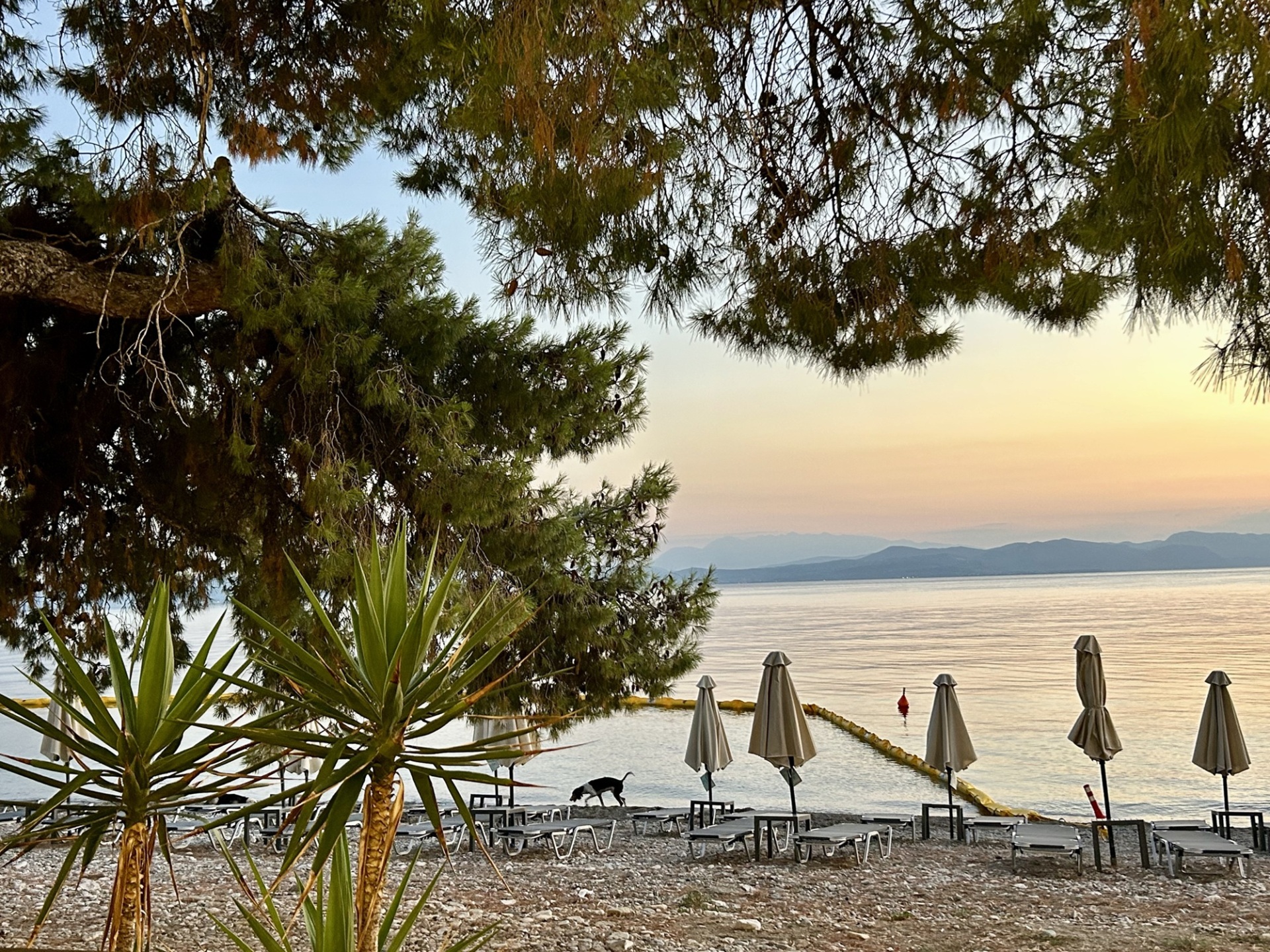 Δέκα μέρες στη Βόρεια Εύβοια, στις Ροβιές, κι ένα μάθημα για τις διακοπές