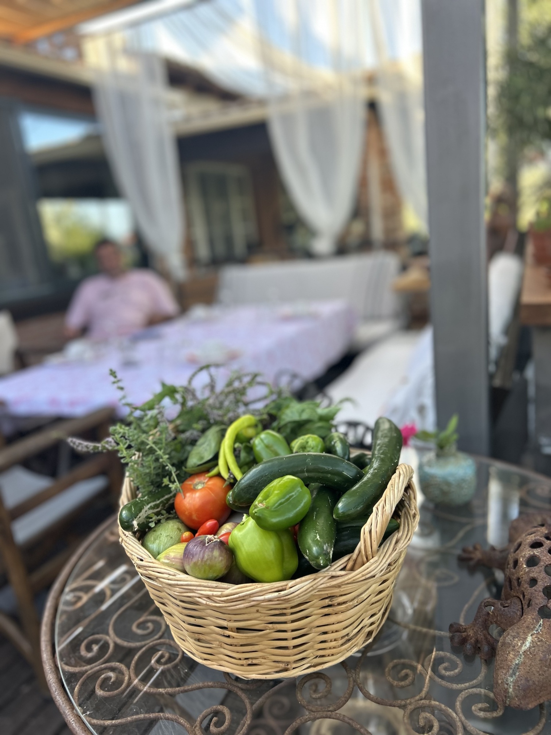 Δέκα μέρες στη Βόρεια Εύβοια, στις Ροβιές, κι ένα μάθημα για τις διακοπές