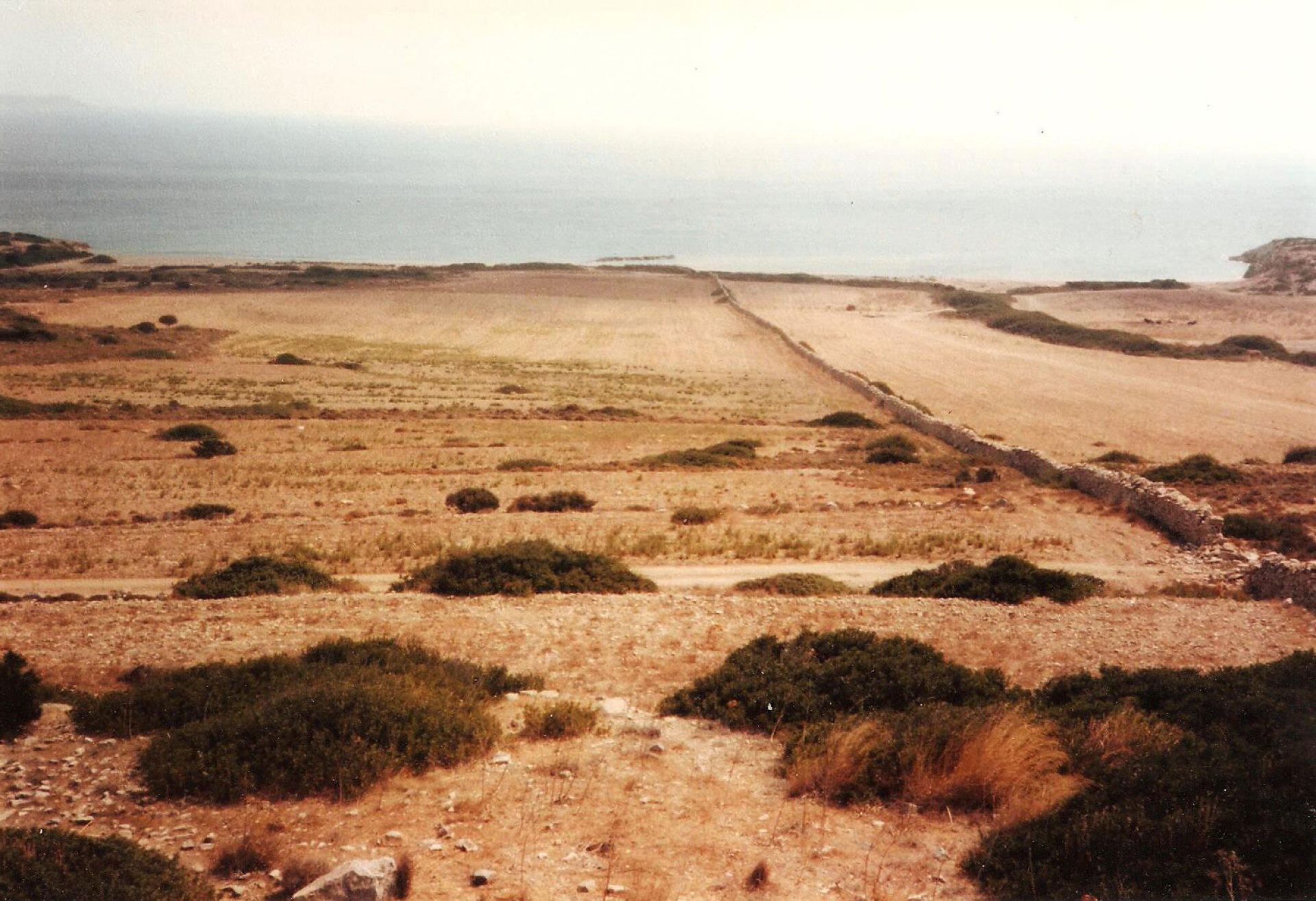 Αντίπαρος, Σωρός, 1981