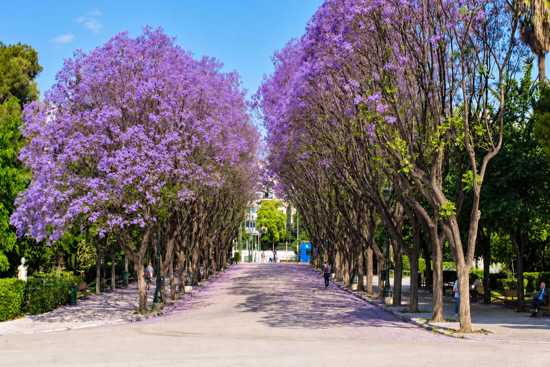 ATHENS VOICE Wellness Festival 2026 | Κήπος του Ζαππείου