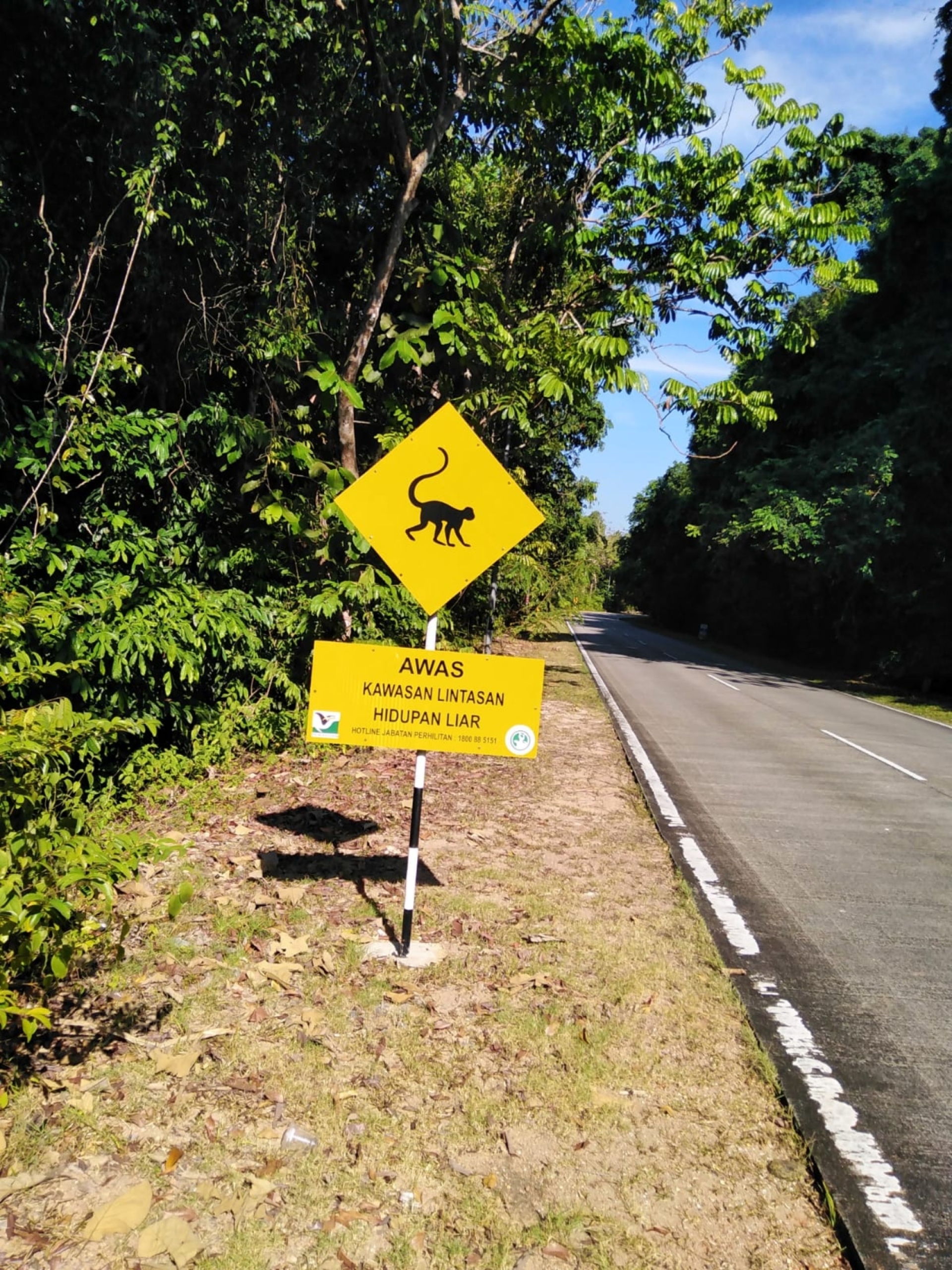 Μαλαισία: Ταξίδι στα εξωτικά νησιά Penang και Langkawi