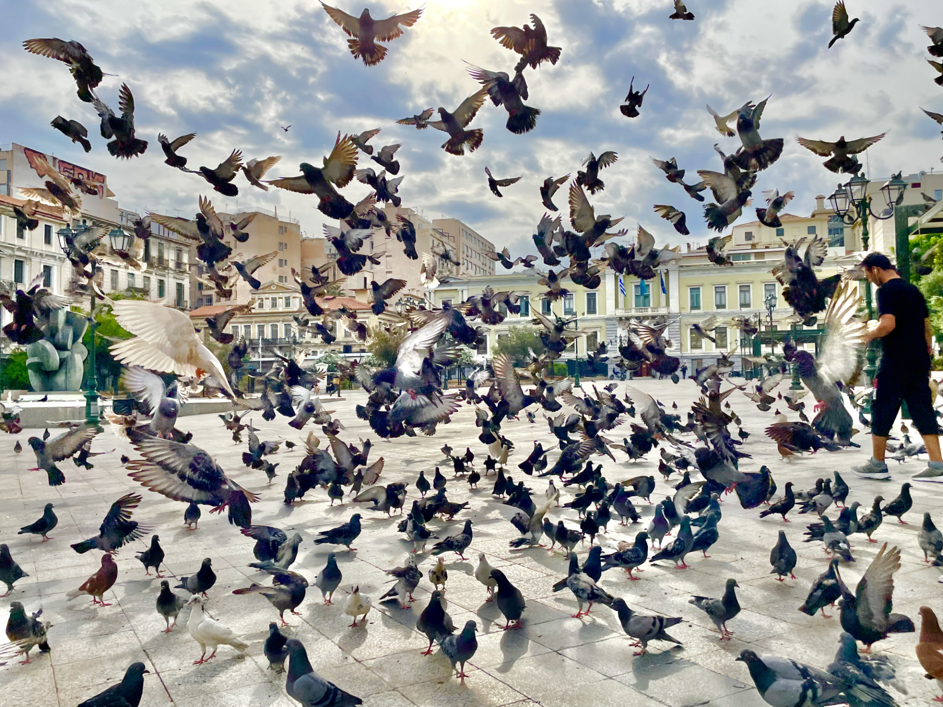 Σμήνος περιστεριών στην πλατεία της Ομόνοιας