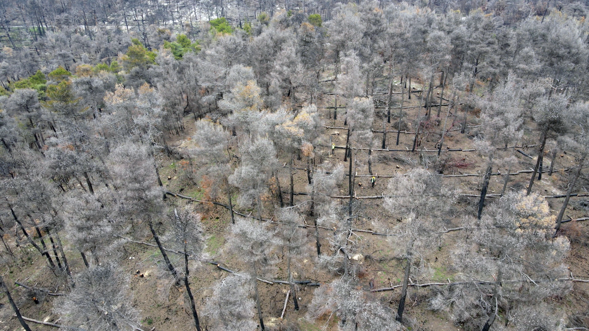 HELLENiQ ENERGY// Βαρυμπόμπη