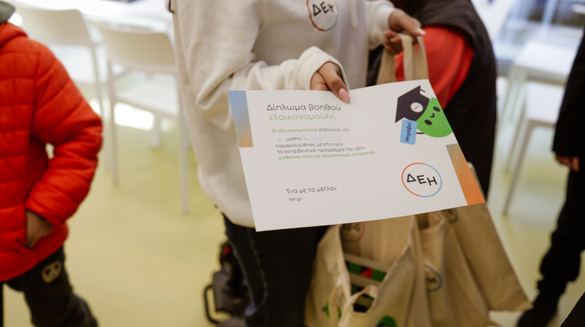 ΔΕΗ, Εξοικονομούλης 