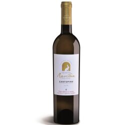 ΛΑΟΥΔΙΑ ΣΑΝΤΟΡΙΝΗ ΤSELEPOS - Κάναβα Χρυσού