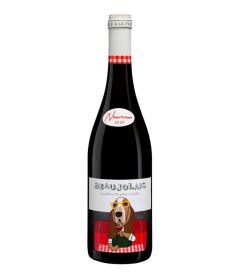 Βeaujolais Nouveau 2024 - Vignerons de Bel-Air