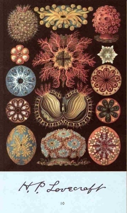 H.P. Lovecraft: «Η ονειρική αναζήτηση της άγνωστης Καντάθ»