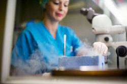 Κρυοσυντήρηση ωαρίων