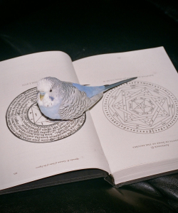 Omnihell, Extreme Sufferings