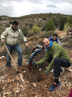 Νέα δράση αναδάσωσης από τη LeasePlan Hellas σε συνεργασία με την Genesis Pharma 