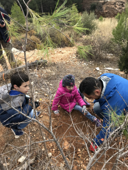 Νέα δράση αναδάσωσης από τη LeasePlan Hellas σε συνεργασία με την Genesis Pharma 