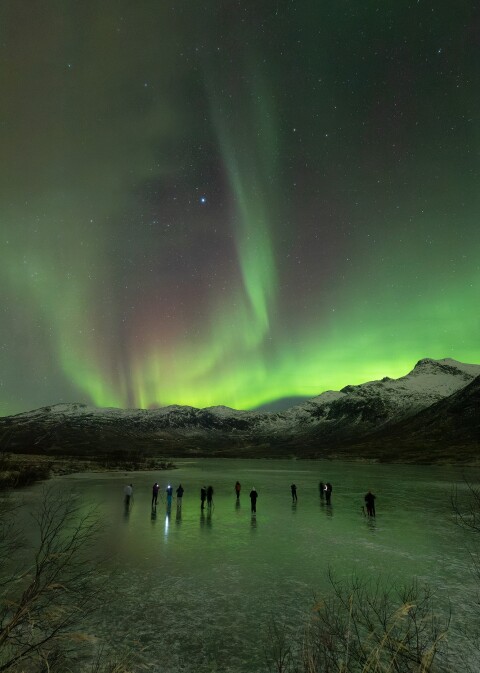 Βόρειο Σέλλας