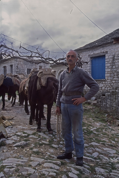 Ταξίδι στους Καλαρρύτες: Μια πρωτότυπη εικονική περιήγηση στο μονοπάτι που συνδέει το χωριό της Ηπείρου με το Συρράκο 