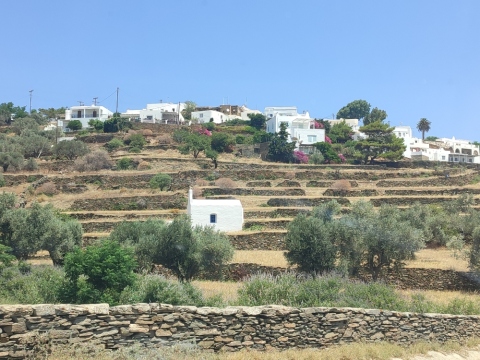 MuSifanto: Μουσική και διακοπές στην όμορφη Σίφνο