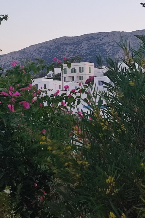 MuSifanto: Μουσική και διακοπές στην όμορφη Σίφνο