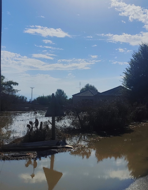 Οδοιπορικό στον Θεσσαλικό Κάμπο και στα πλημμυρισμένα χωριά της Καρδίτσας