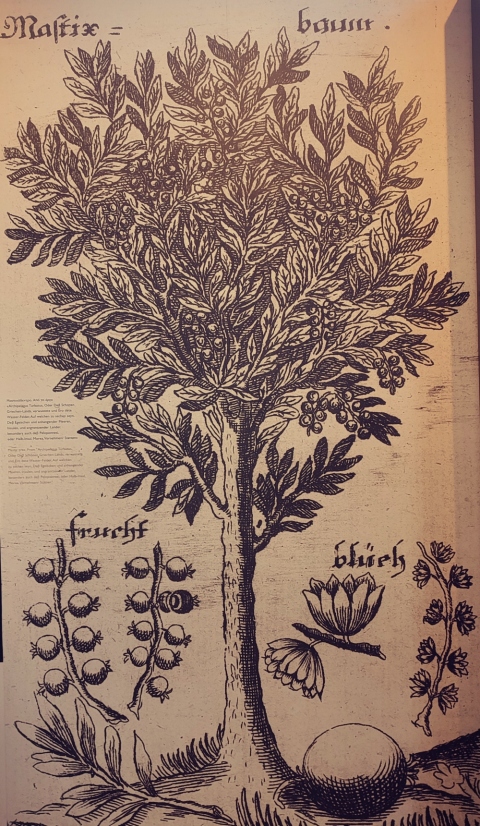 mouseio-_mastixas__2_