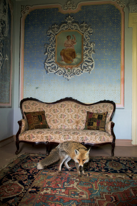 Έκθεση Κάμπος  Στρατής Βογιατζής   Αγιορειτική Εστία / 12.10-18.11.2023 