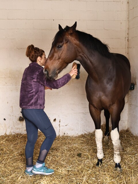 Ιδιοκτήτρια αλόγου