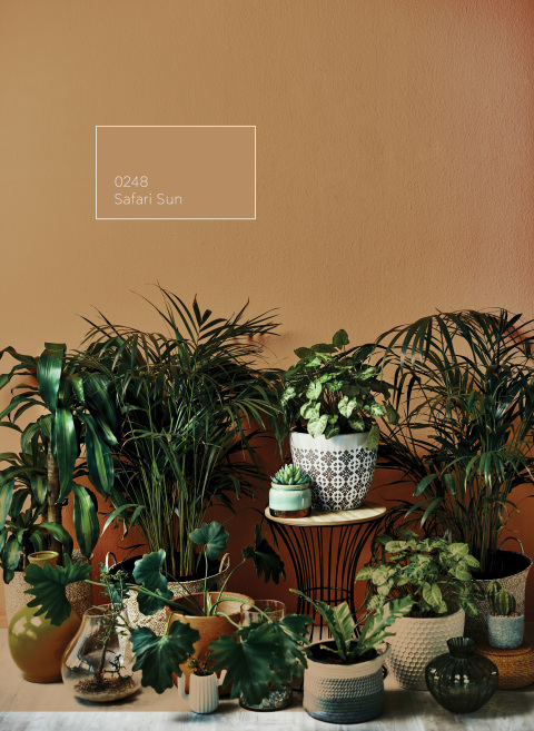 Safari Sun: Χρώμα της Χρονιάς από την Vitex για το 2024