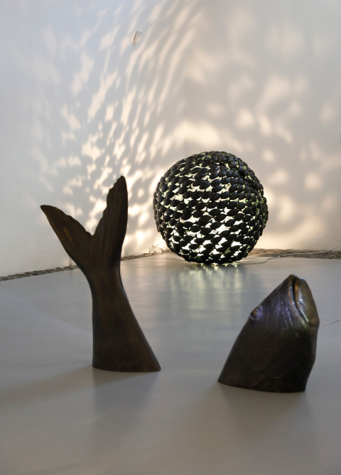 Τα ψάρια του Γιώργου Κυπρή