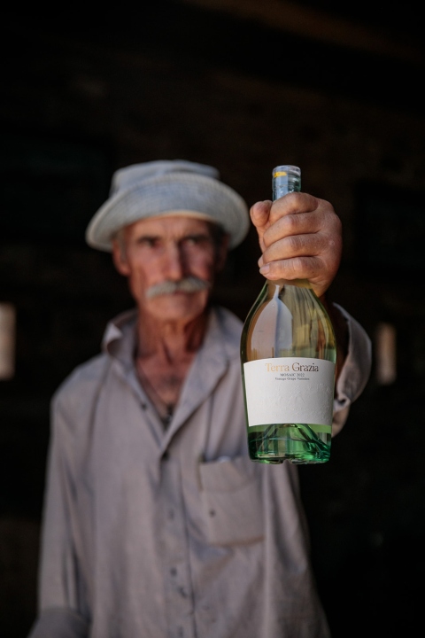 Τα κρασιά του κτήματος Terra Grazia 