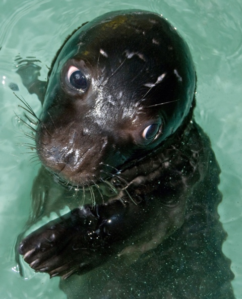 Οικοτουριστικοί θησαυροί της Ελλάδας: Ταξίδεψε σε 7 παραδεισένιους προορισμούς