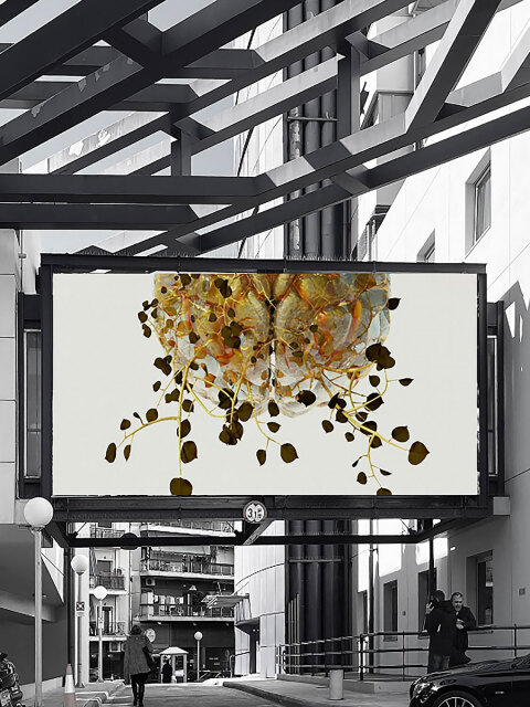 Εξωτερική εγκατάσταση της έκθεσης Phytobiosomes by Costas Pigadas στο Νοσοκομείο Ερρίκος Ντυνάν