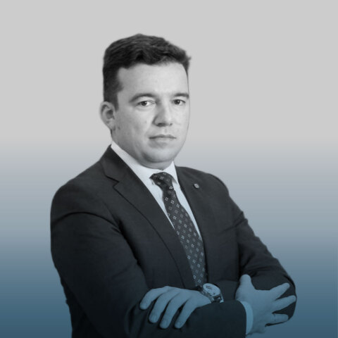 Πάνος Τουρναβίτης | Διευθύνων Σύμβουλος, Eκτελεστικό Mέλος του Διοικητικού Συμβουλίου της Συνεταιριστικής Τράπεζας Καρδίτσας