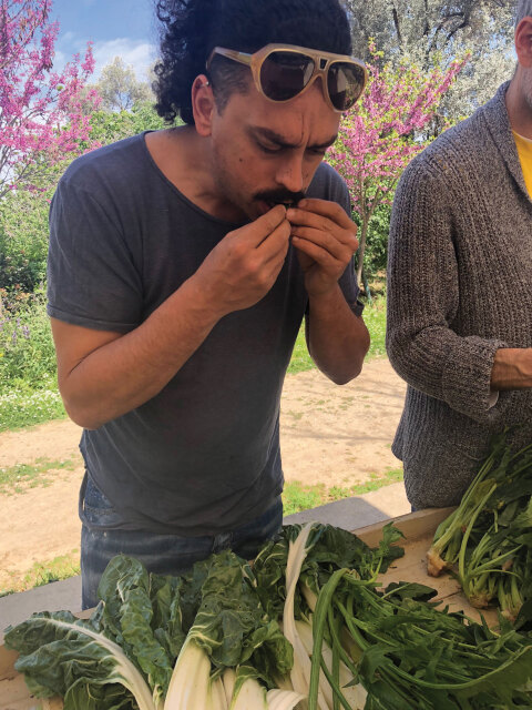 Χρόνης Δαμαλάς - Σεφ