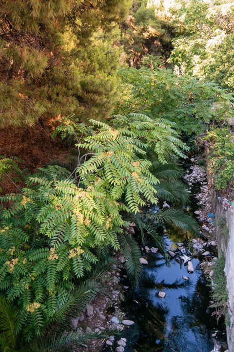 Νέα Φιλαδέλφεια