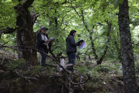 Στιγμιότυπο από τα γυρίσματα της ταινίας «Άλυτη» του Μίνωα Νικολακάκη 