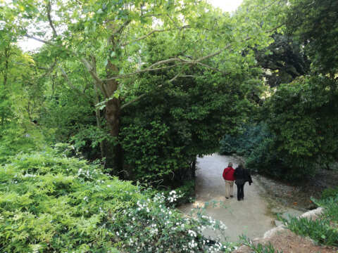 Ο Εθνικός μας Κήπος | Athens Voice