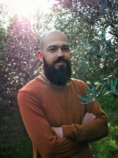 Υοθετούν ελιές