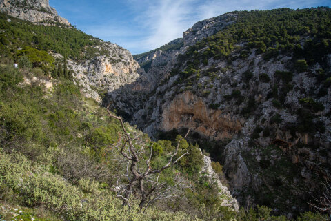 Πάρνηθα: Aνακαλύπτοντας το βουνό της καραντίνας