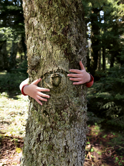 «Vodafone Smart Forest», το πρώτο ελληνικό έξυπνο δάσος στην Πάρνηθα