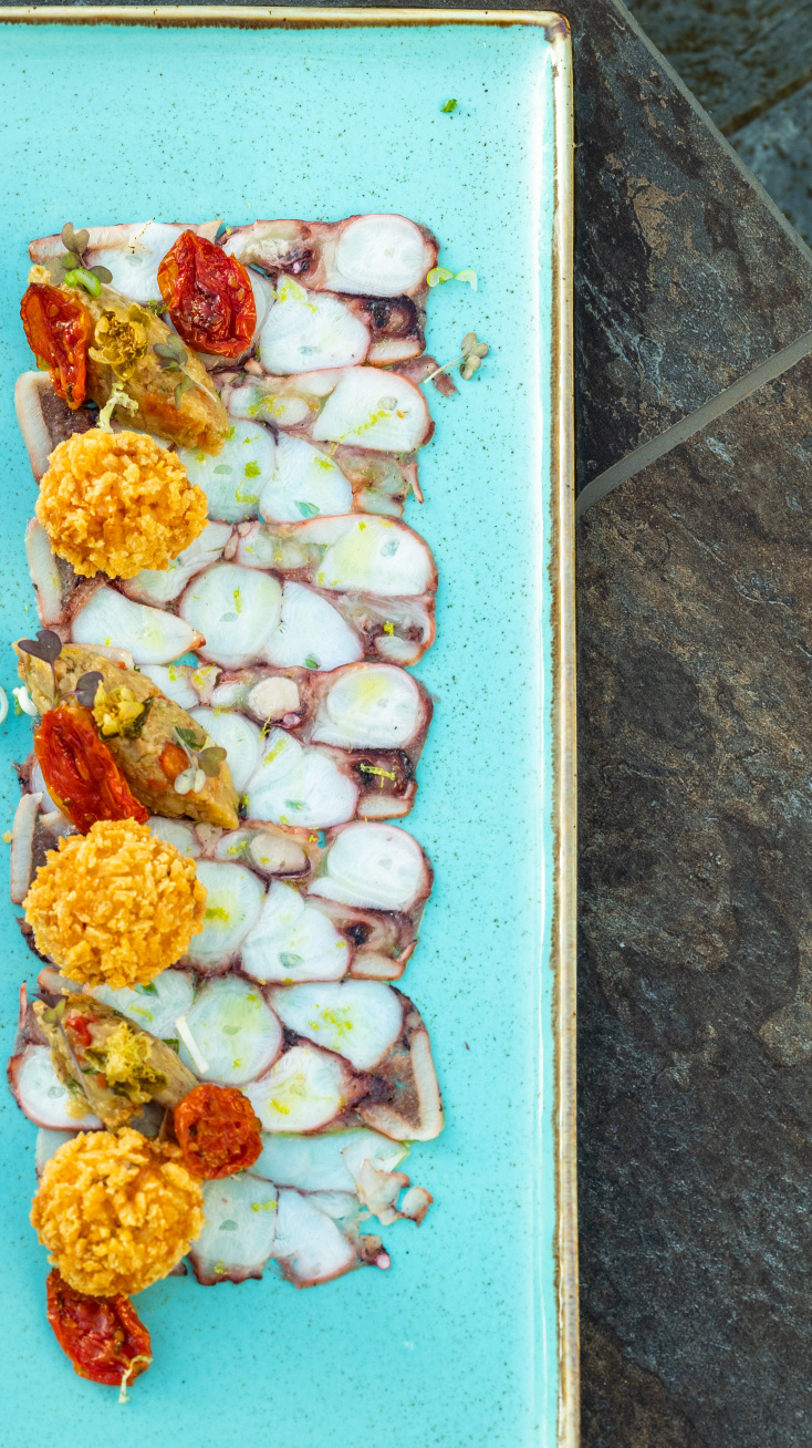 Πιάτο Αλέξανδρου Τσιοτίνη